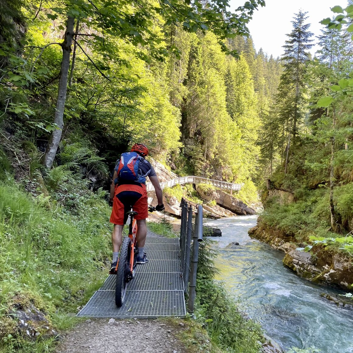Mountainbiker auf einem schmalen Weg entlang eines Flusses inmitten einer grünen Landschaft. © Walser BikeTours